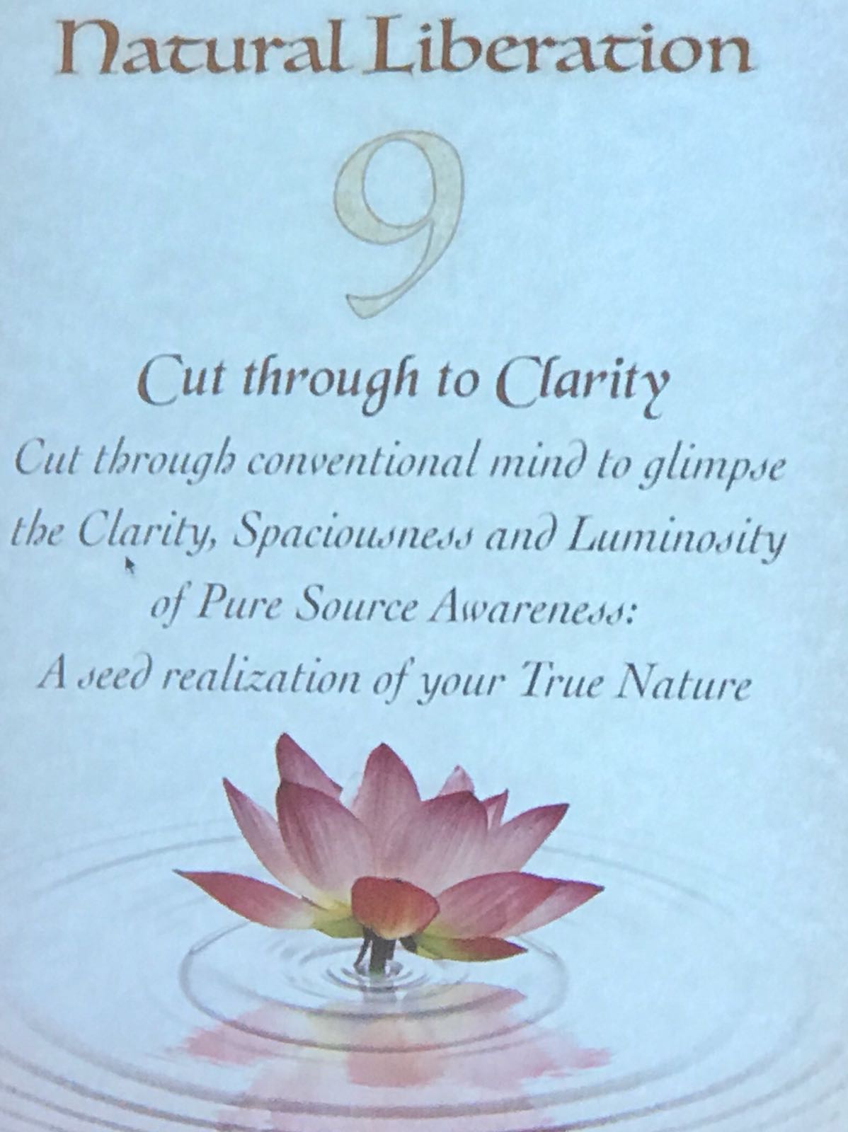 cut through to clarity