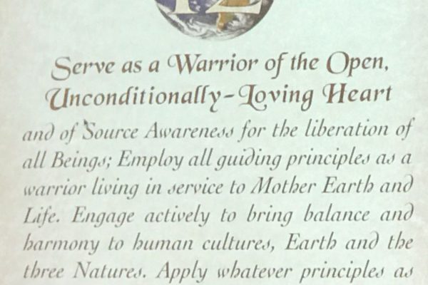 serve as a warrior of the open unconditionally loving heart