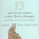 dont become attached to these twelve principles