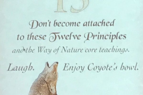 dont become attached to these twelve principles