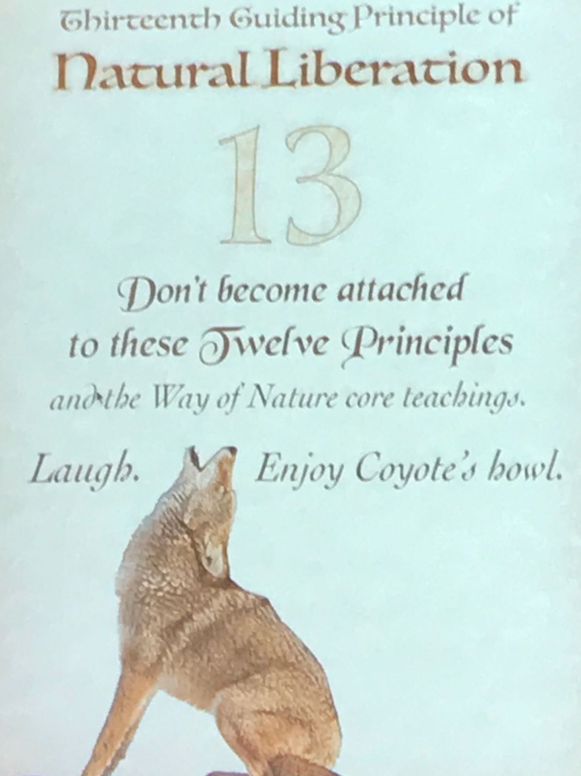 dont become attached to these twelve principles