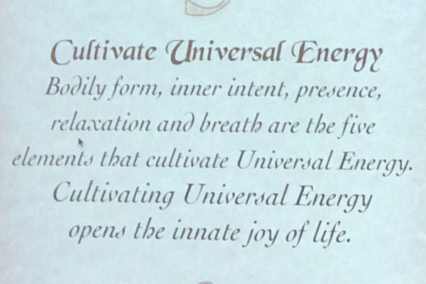 cultivate universal energy