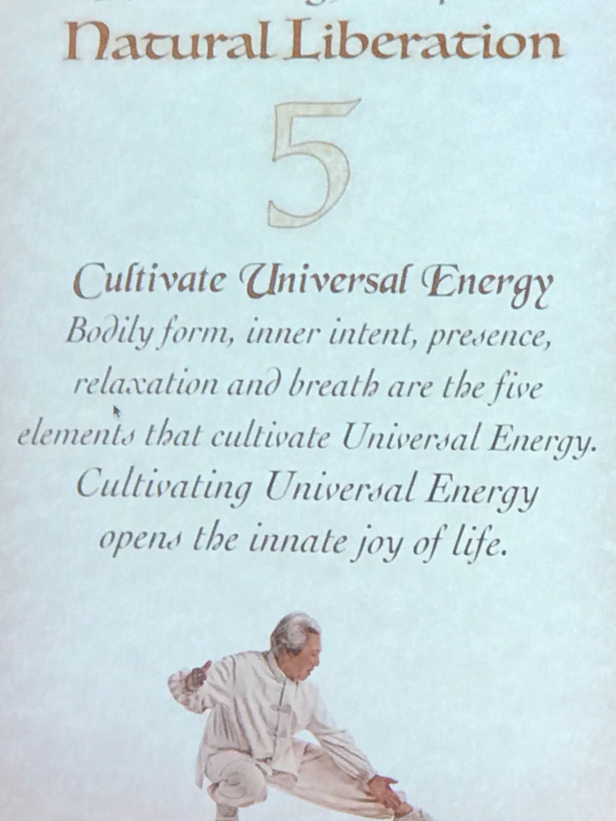 cultivate universal energy