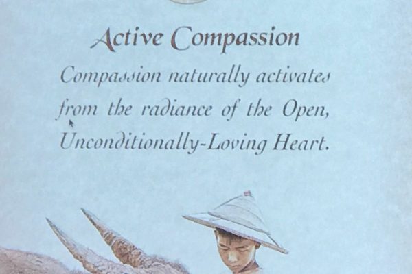 active compassion