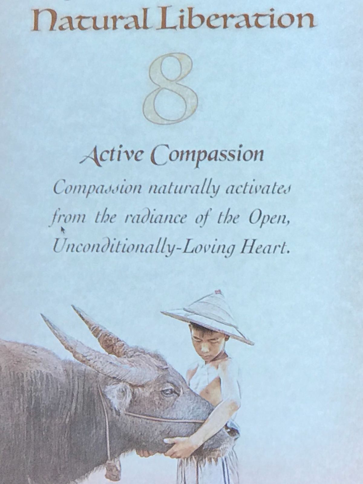 active compassion