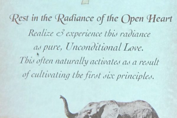 rest in the radiance of the open heart