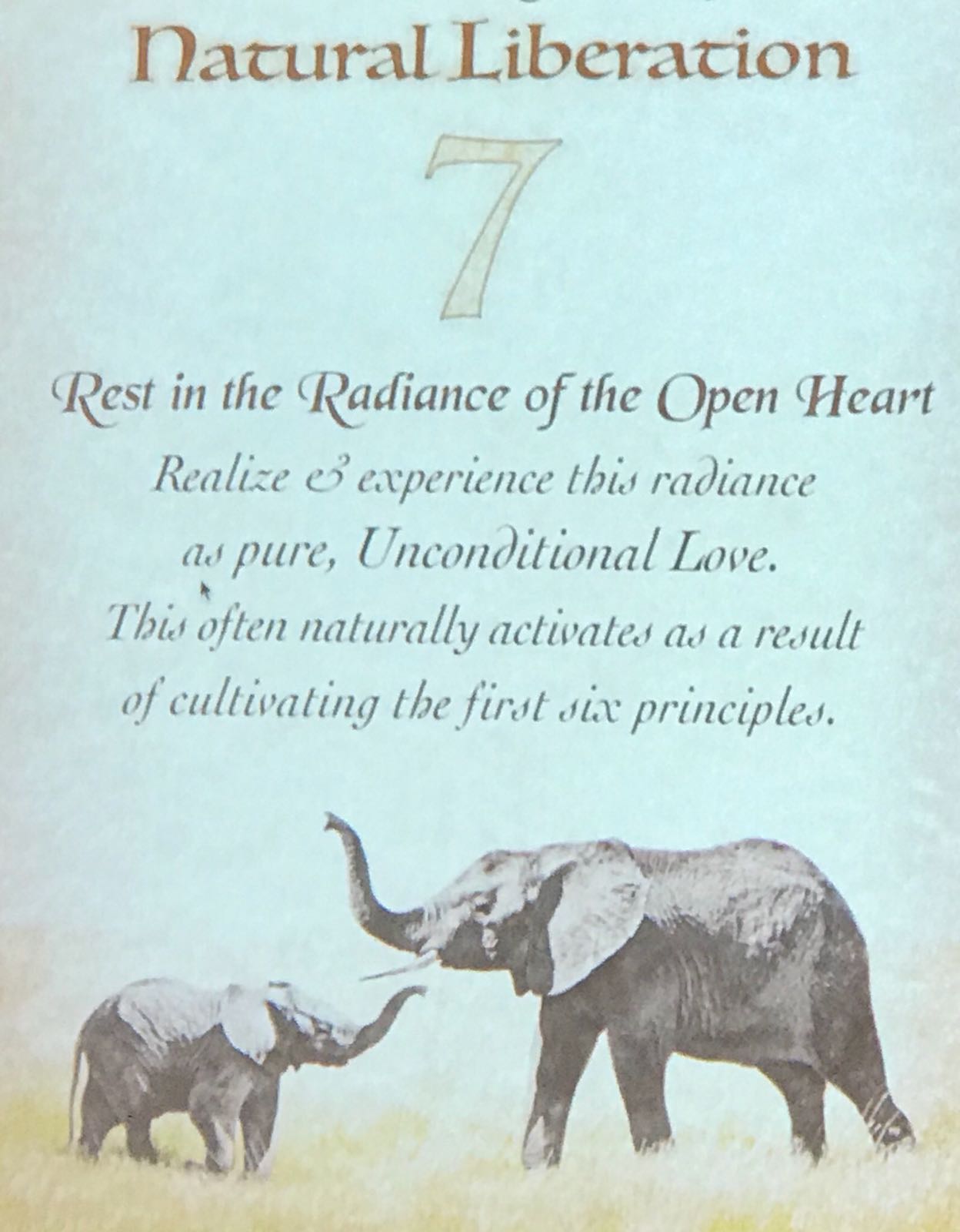 rest in the radiance of the open heart