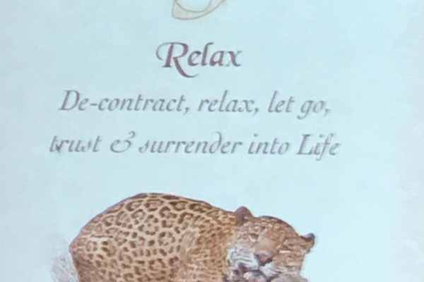 relax