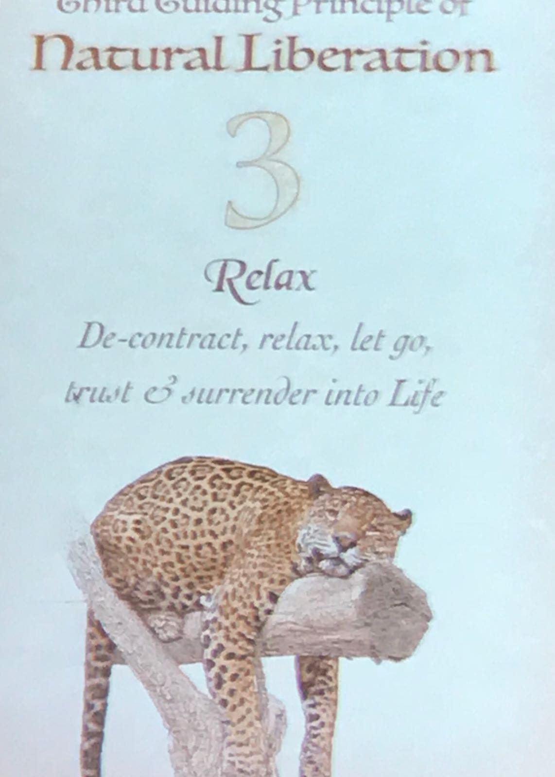 relax